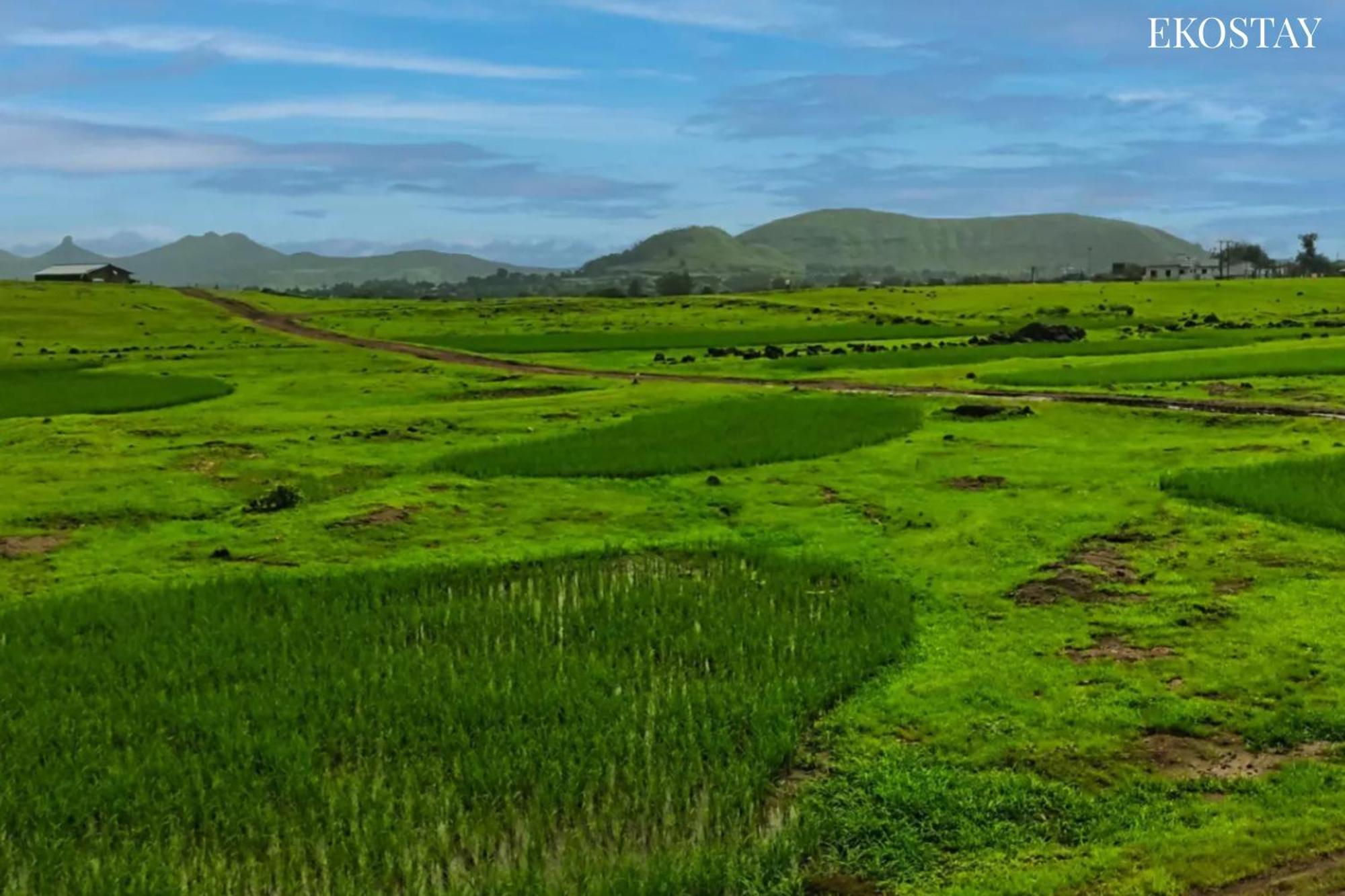 Ekostay - Neptune Villa Igatpuri Luaran gambar