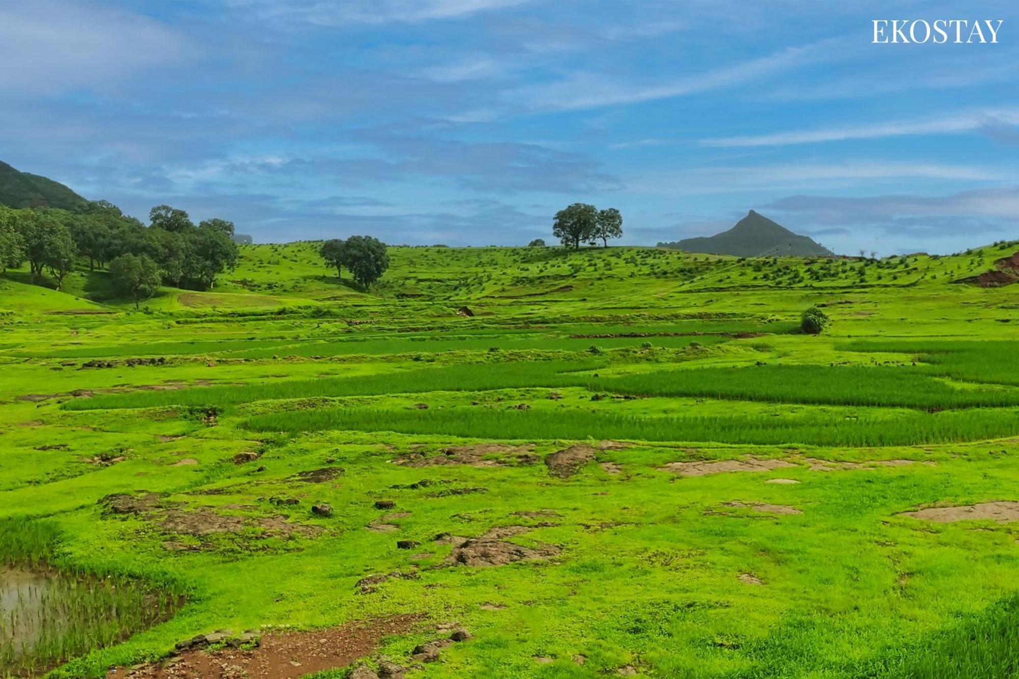 Ekostay - Neptune Villa Igatpuri Luaran gambar